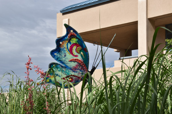 Shimmering Wings Butterfly